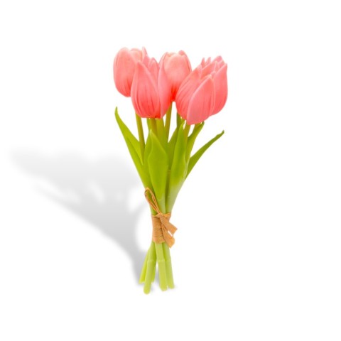 MAZZETTO 5 TULIPANI PICCOLI H20 ROSSO